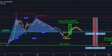 bitcoin crash