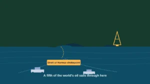 elon-musk-iran-hormuz-strait