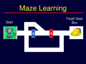 Learning Maze Game