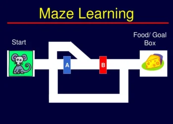 Learning Maze Game