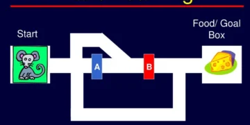 Learning Maze Game