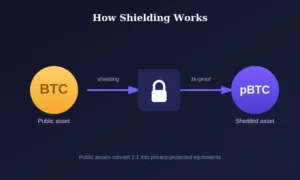 shielding-process